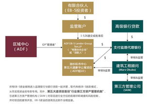 超越标签 投资人如何通过项目硬实力与资管效能评估价值