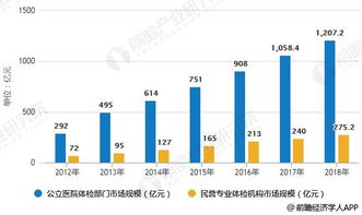投资体检项目全解析 项目选择与资产管理指南